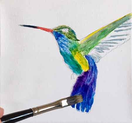 Colored Pencil Drawing of a Hummingbird - YouTube